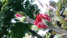 110507_175822.jpg