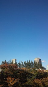 111125_151104.jpg