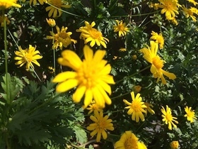 2014-09-21 13.25.57.jpg