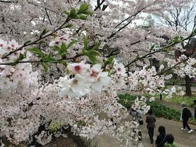 2015-04-03 13.53.45.jpg