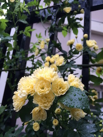 2015-04-20 16.53.58.jpg