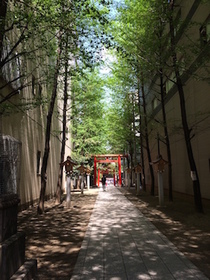 2015-04-26 11.41.50.jpg