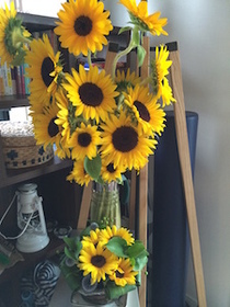 2015-06-14 09.41.48.jpg
