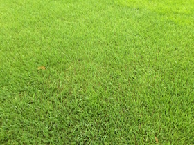 2015-08-30 15.42.33.jpg