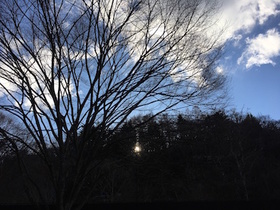 2016-01-01 08.32.46.jpg