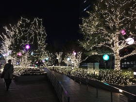 2016-01-25 18.44.45.jpg