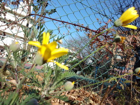 IMG_20130211_143531.jpg