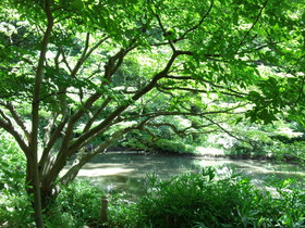 IMG_20130706_122639.jpg
