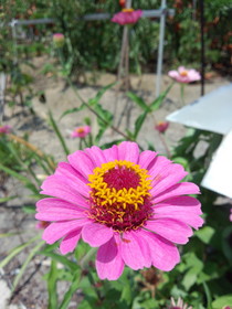 IMG_20130725_122944.jpg