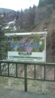 20100411102931.jpg